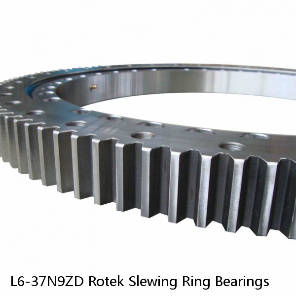 L6-37N9ZD Rotek Slewing Ring Bearings