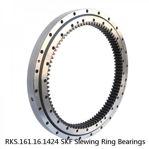 RKS.161.16.1424 SKF Slewing Ring Bearings