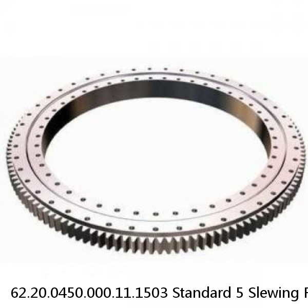 62.20.0450.000.11.1503 Standard 5 Slewing Ring Bearings