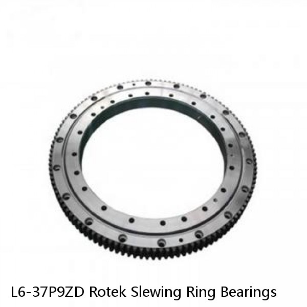 L6-37P9ZD Rotek Slewing Ring Bearings