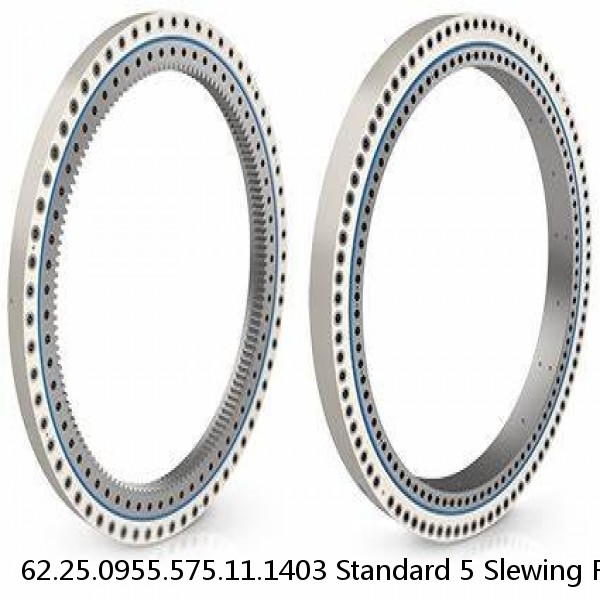 62.25.0955.575.11.1403 Standard 5 Slewing Ring Bearings
