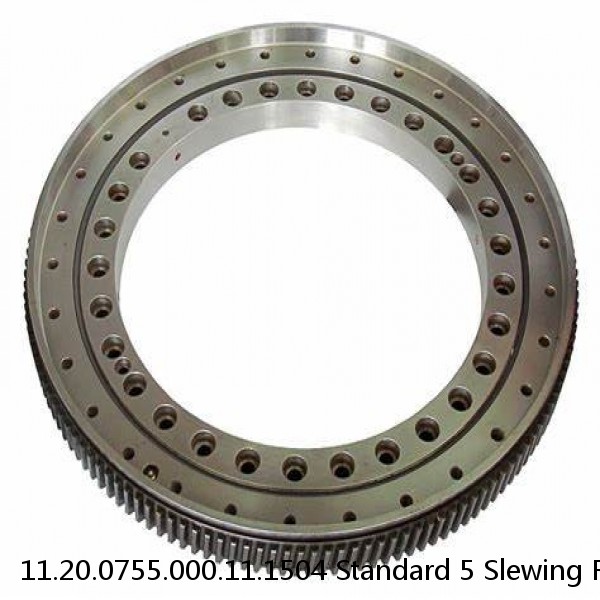 11.20.0755.000.11.1504 Standard 5 Slewing Ring Bearings