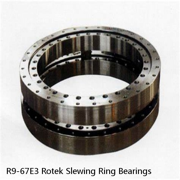 R9-67E3 Rotek Slewing Ring Bearings