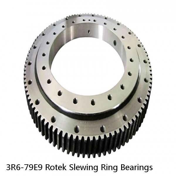 3R6-79E9 Rotek Slewing Ring Bearings