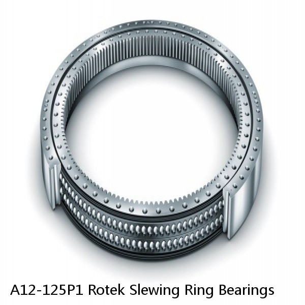 A12-125P1 Rotek Slewing Ring Bearings