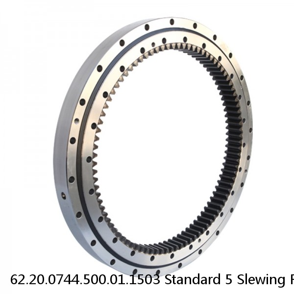 62.20.0744.500.01.1503 Standard 5 Slewing Ring Bearings