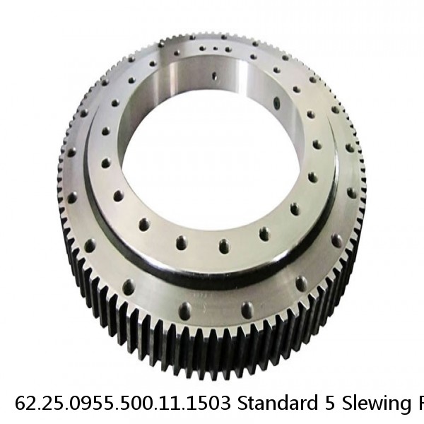 62.25.0955.500.11.1503 Standard 5 Slewing Ring Bearings