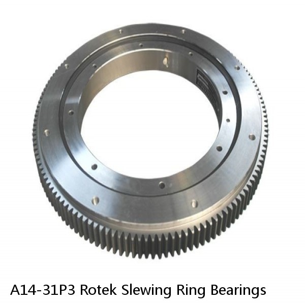 A14-31P3 Rotek Slewing Ring Bearings