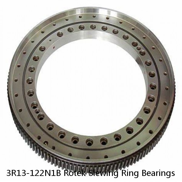 3R13-122N1B Rotek Slewing Ring Bearings