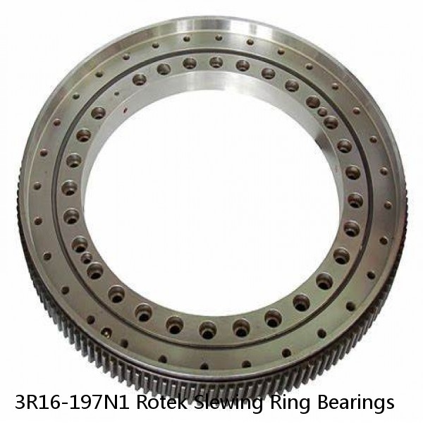 3R16-197N1 Rotek Slewing Ring Bearings