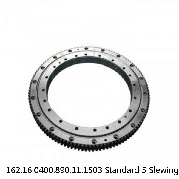 162.16.0400.890.11.1503 Standard 5 Slewing Ring Bearings