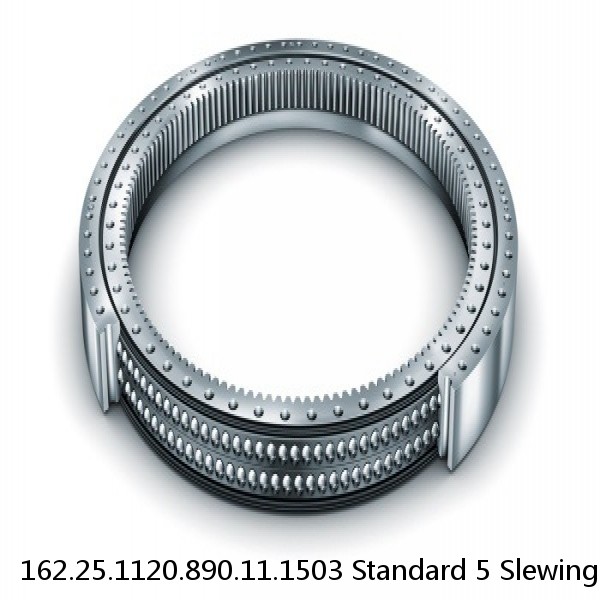 162.25.1120.890.11.1503 Standard 5 Slewing Ring Bearings