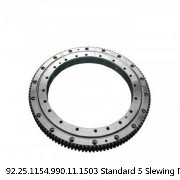 92.25.1154.990.11.1503 Standard 5 Slewing Ring Bearings