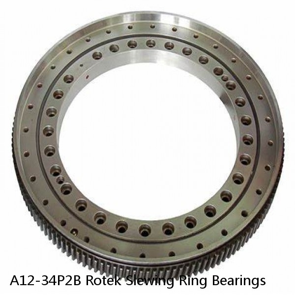 A12-34P2B Rotek Slewing Ring Bearings