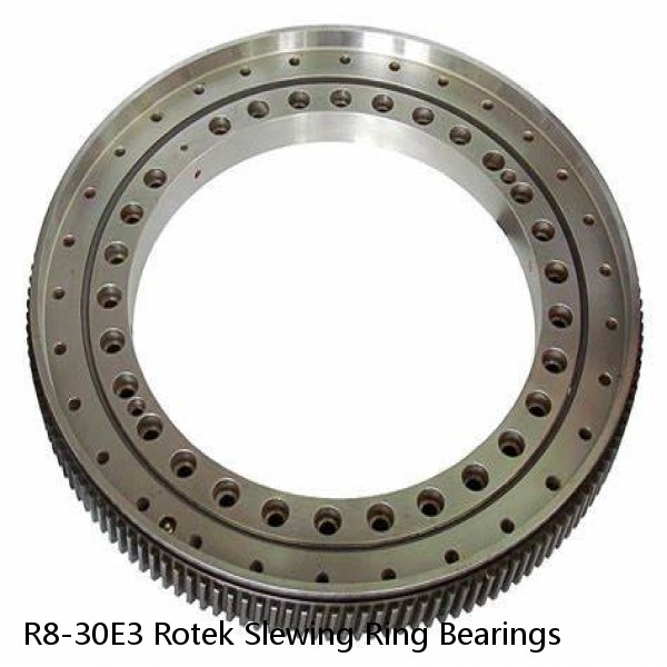 R8-30E3 Rotek Slewing Ring Bearings