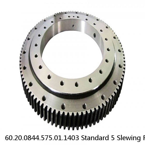 60.20.0844.575.01.1403 Standard 5 Slewing Ring Bearings