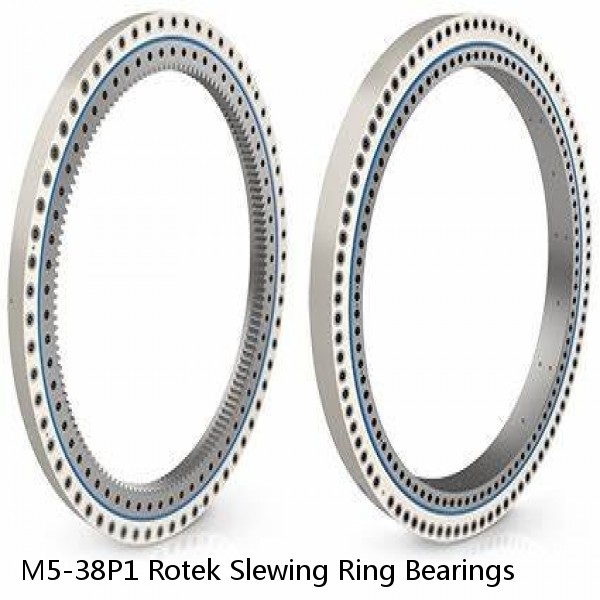 M5-38P1 Rotek Slewing Ring Bearings