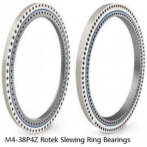 M4-38P4Z Rotek Slewing Ring Bearings