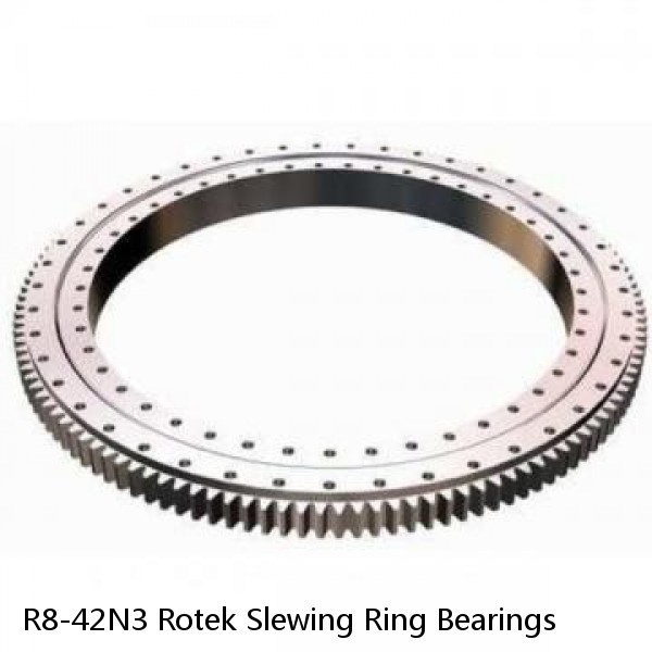 R8-42N3 Rotek Slewing Ring Bearings