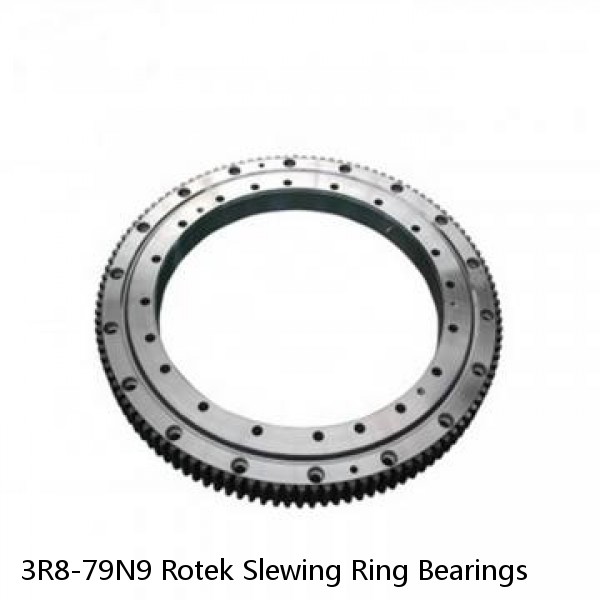 3R8-79N9 Rotek Slewing Ring Bearings