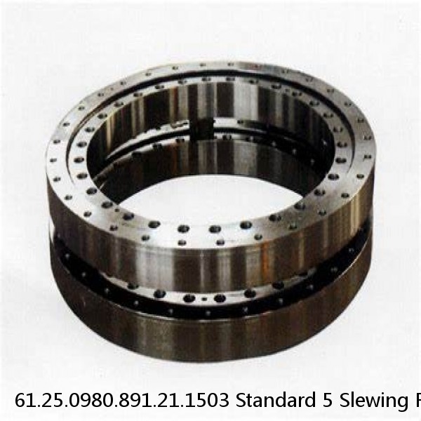 61.25.0980.891.21.1503 Standard 5 Slewing Ring Bearings