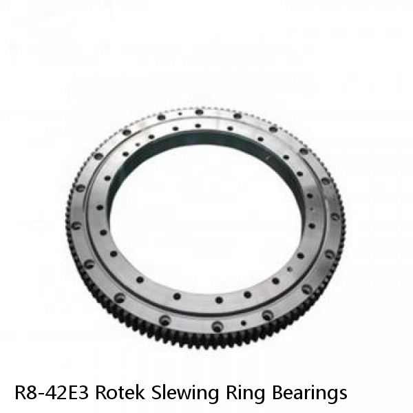 R8-42E3 Rotek Slewing Ring Bearings