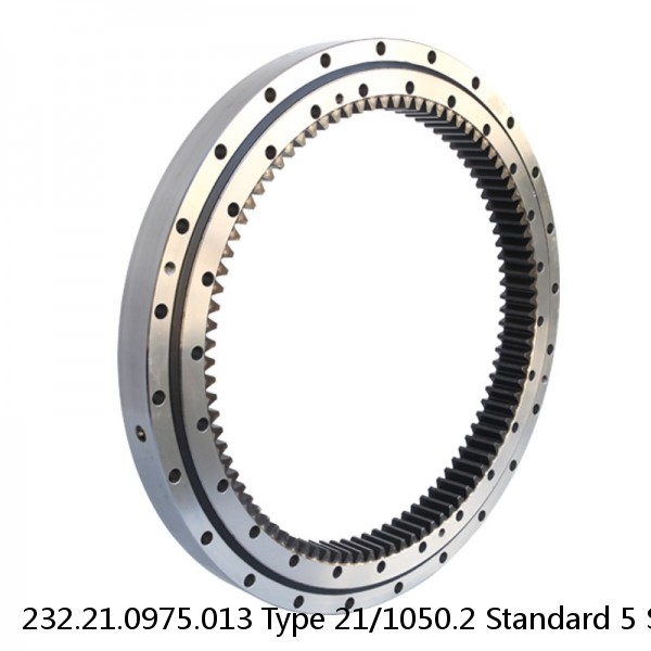 232.21.0975.013 Type 21/1050.2 Standard 5 Slewing Ring Bearings