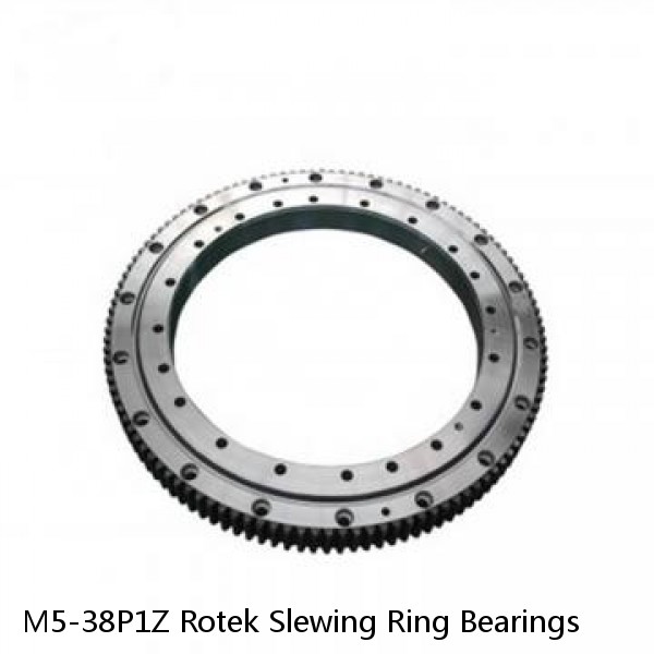 M5-38P1Z Rotek Slewing Ring Bearings