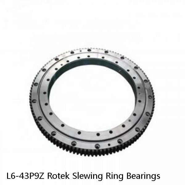 L6-43P9Z Rotek Slewing Ring Bearings