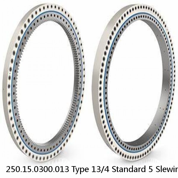 250.15.0300.013 Type 13/4 Standard 5 Slewing Ring Bearings