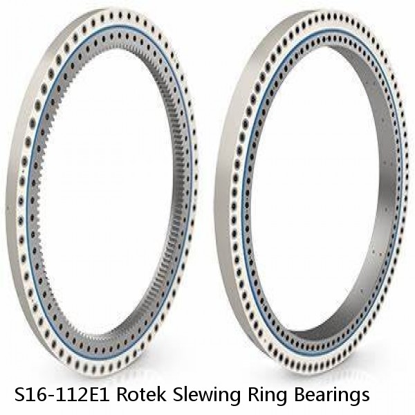 S16-112E1 Rotek Slewing Ring Bearings