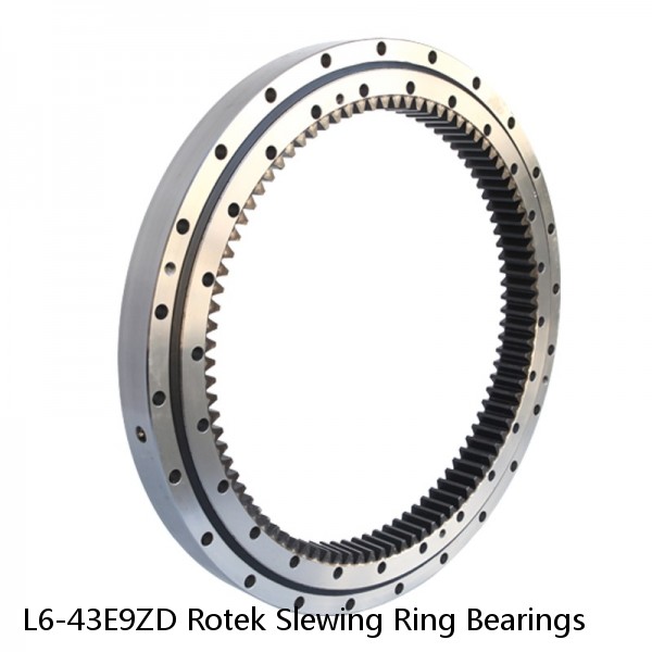 L6-43E9ZD Rotek Slewing Ring Bearings