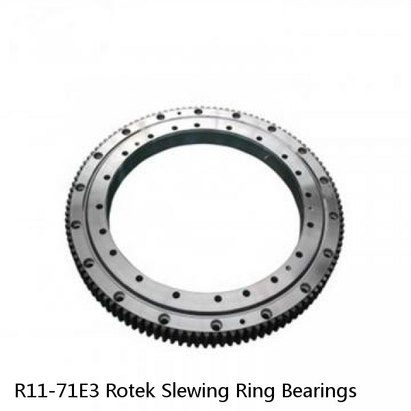 R11-71E3 Rotek Slewing Ring Bearings