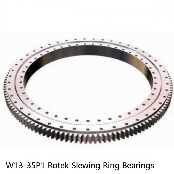 W13-35P1 Rotek Slewing Ring Bearings