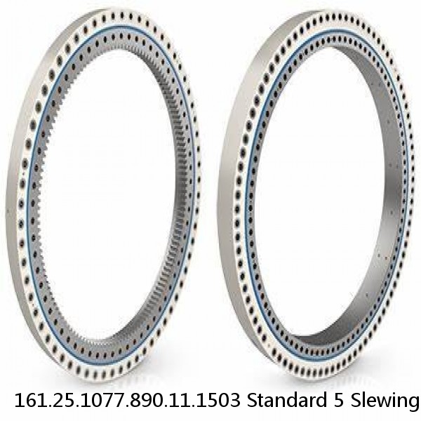 161.25.1077.890.11.1503 Standard 5 Slewing Ring Bearings