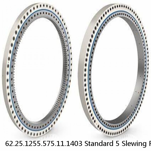 62.25.1255.575.11.1403 Standard 5 Slewing Ring Bearings