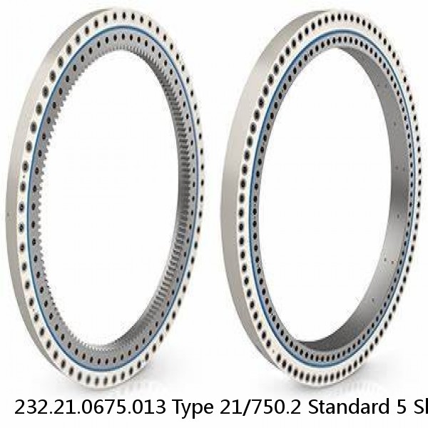 232.21.0675.013 Type 21/750.2 Standard 5 Slewing Ring Bearings