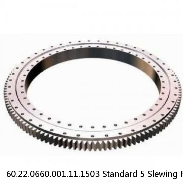 60.22.0660.001.11.1503 Standard 5 Slewing Ring Bearings