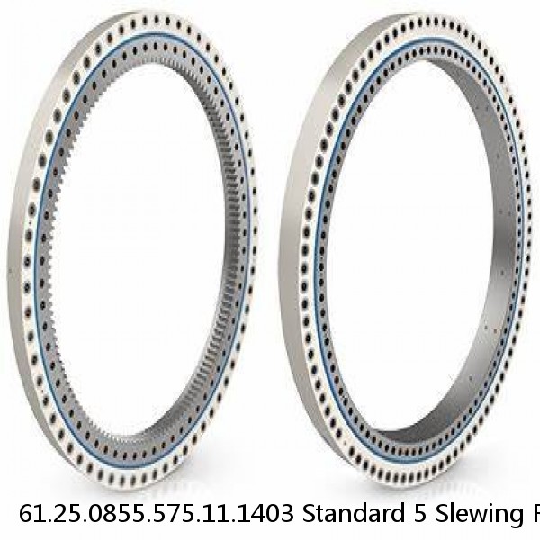 61.25.0855.575.11.1403 Standard 5 Slewing Ring Bearings