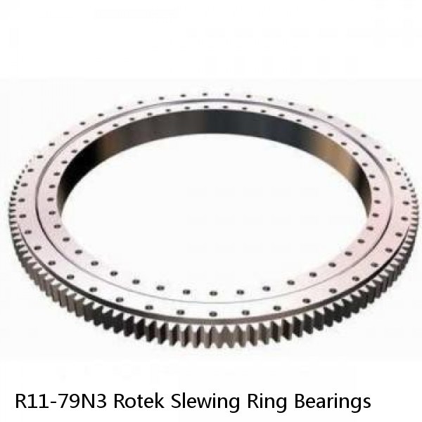 R11-79N3 Rotek Slewing Ring Bearings