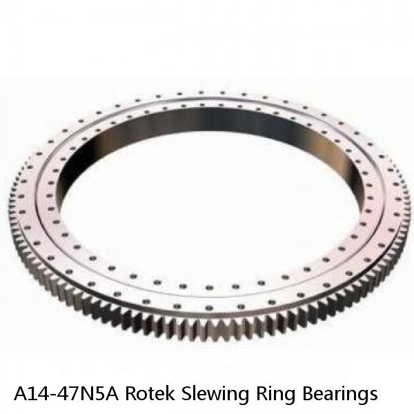 A14-47N5A Rotek Slewing Ring Bearings