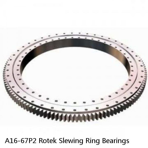 A16-67P2 Rotek Slewing Ring Bearings