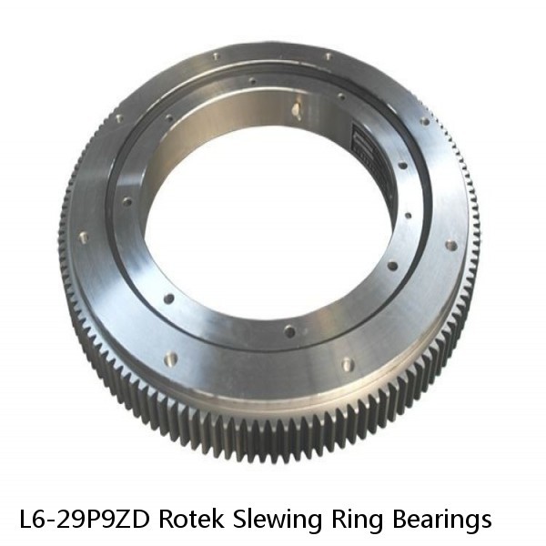 L6-29P9ZD Rotek Slewing Ring Bearings