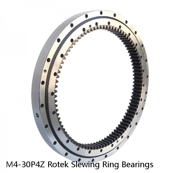 M4-30P4Z Rotek Slewing Ring Bearings