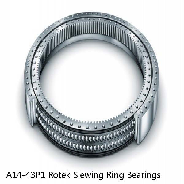 A14-43P1 Rotek Slewing Ring Bearings