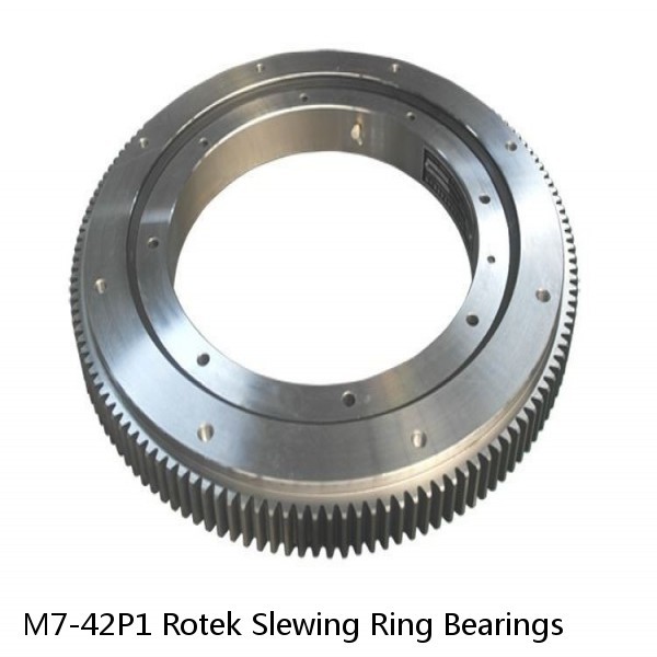 M7-42P1 Rotek Slewing Ring Bearings