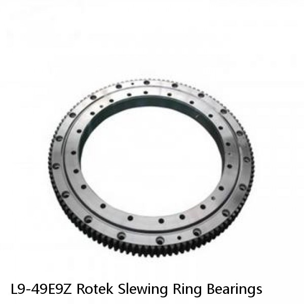 L9-49E9Z Rotek Slewing Ring Bearings